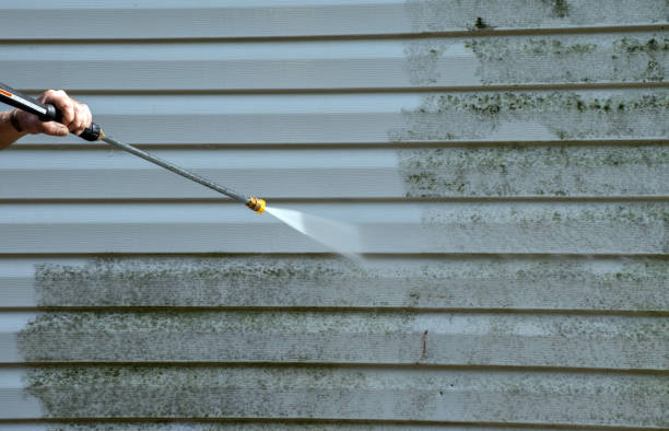 Best Roof Washing  in Plattsburgh West, NY